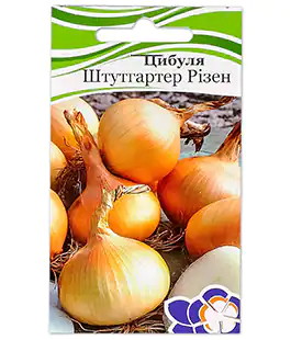 Цибуля ріпчаста Штутгартен Різен