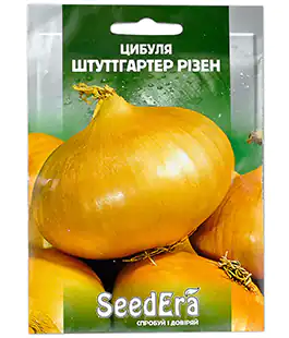 Цибуля ріпчаста Штутгартен Різен