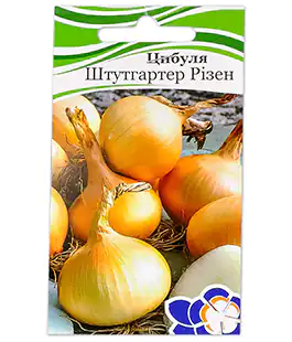 Цибуля ріпчаста Штутгартен Різен