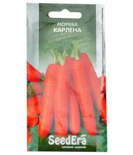 Морковь Карлена