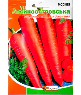 Морковь Лосиноостровская
