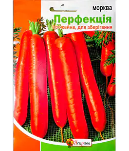 Морковь Перфекция
