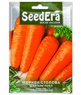 Морква Шантане Роял
