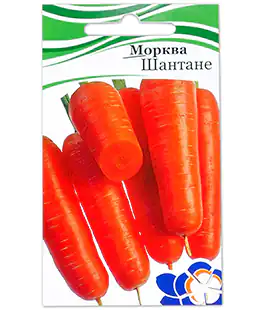 Морковь Шантане