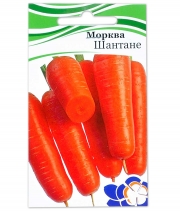 Изображение товара Морковь Шантане