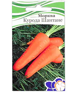 Морковь Шантане Курода