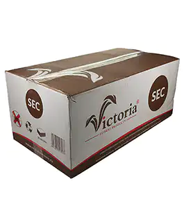 Флористическая пена Viktoria для сухоцветов SEC кирпич коробка 20 шт