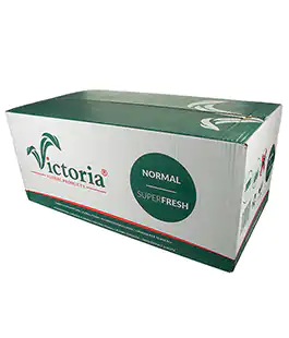 Флористическая пена Viсtoria кирпич коробка 20 шт