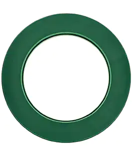 Флористична піна форма Ring Victoria D35см
