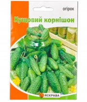 Огірок Кущовий корнішон