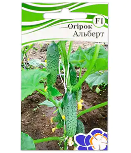 Изображение Огірок Альберт F1