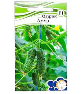 Изображение Огірок Амур F1