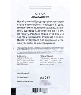 Огурец Аваланж F1
