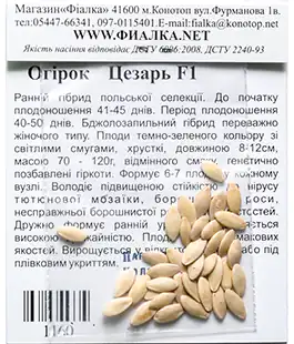 Огурец Цезарь F1