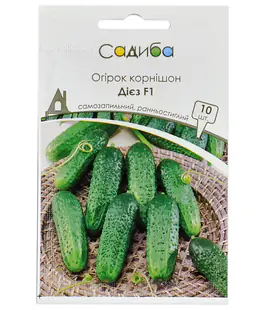 Изображение Огурец Дієз F1