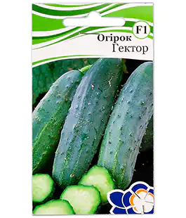 Изображение Огірок Гектор F1