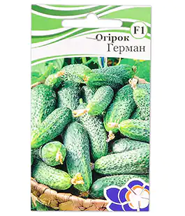 Изображение Огірок Герман F1