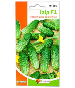 Огурец Изид F1