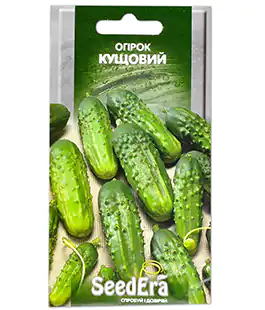 Огурец Кустовой