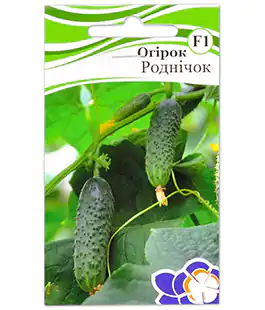 Огурец Родничок