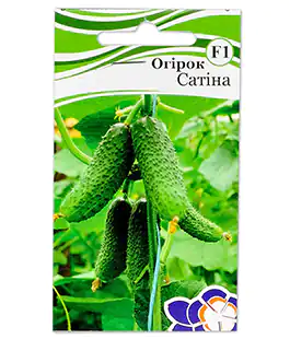 Огурец Сатина F1