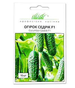 Огурец Седрик F1