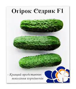 Огурец Седрик F1