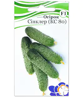 Огурец Синклер (КС 80) F1