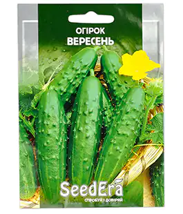 Изображение Огірок Вересень
