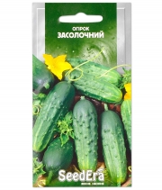 Огірок Засолочний