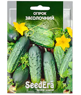 Огурец Засолочный