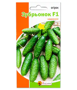 Огурец Зубрёнок