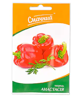 Перець Анастасія