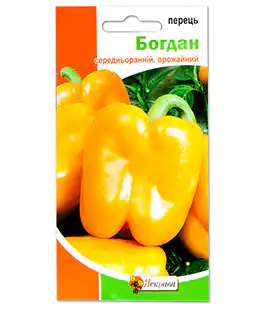 Перец Богдан