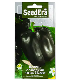 Перец Черный квадрат