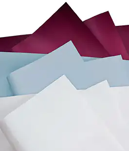 Калька для квітів &laquo;Pastel Elegance&raquo; бордова 20 шт.