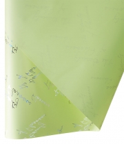 Калька для цветов Holographic светлая зеленая с надписями