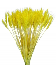Изображение товара Колоски декоративные желтый пучок 100грм