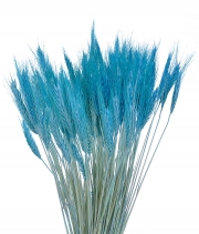 Изображение товара Колоски декоративні синій пучок 100грм