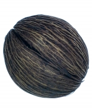 Изображение товара Кокос сухоцвет коричневый 7-9см