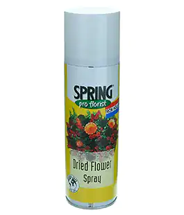 Полироль для сухоцветов Spring pro florist