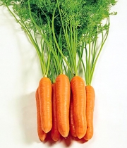 Изображение товара Морковь Монтана