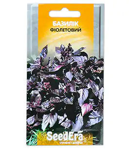 Базилік фіолетовий