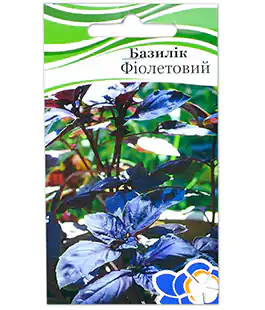 Базилик Фиолетовый