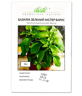Изображение Базилик Мистер Барнс