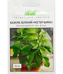Изображение Базилик Мистер Барнс зелёный