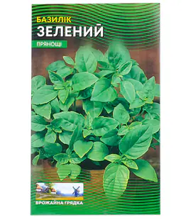 Изображение Базилик Зеленый