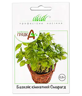 Базилік кімнатний Смарагд
