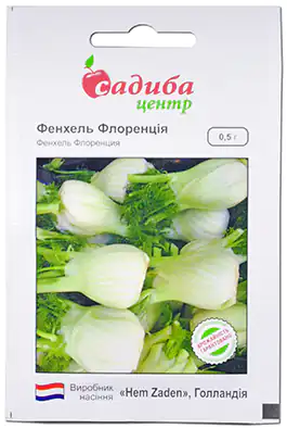 Изображение Фенхель Флоренція