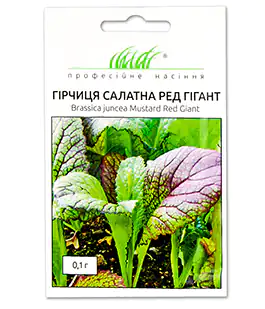Изображение Горчица Ред гигант